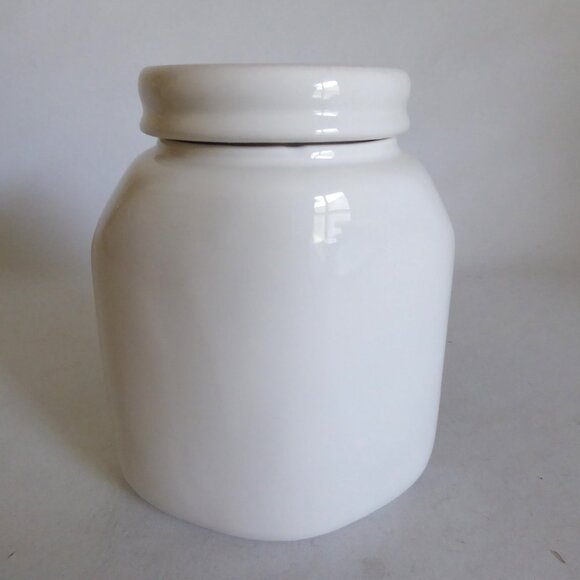 NEW 6” HALLOWEEN WHITE CERAMIC LIDDED APOTHECARY JAR PICKLED TOADS SNAKES - Picture 6 of 12